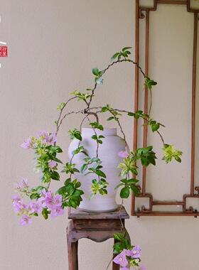 高级感轻奢禅意水培花瓶
