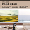 Sharp 85-inch TV recommends smart HD 240Hz