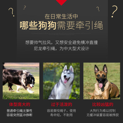 狗狗牵引绳大中型犬狗链宠物用品金毛德牧拉布拉多遛狗绳子拴狗绳 虎窝淘