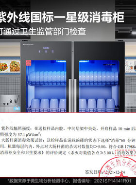 德玛仕（DEMASHI）消毒柜商用大容量双开门碗筷紫外线一星级餐饮