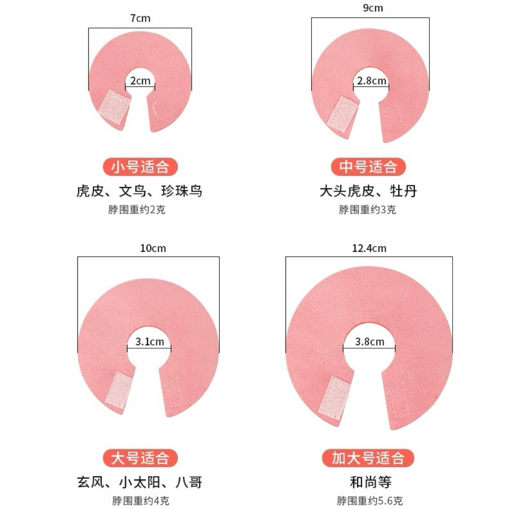 8玖-鹦鹉伊丽莎白圈防啄毛防咬受伤保护项圈鸟用具用品专用玩具,淘宝优惠券,粉丝福利购,淘宝优惠卷