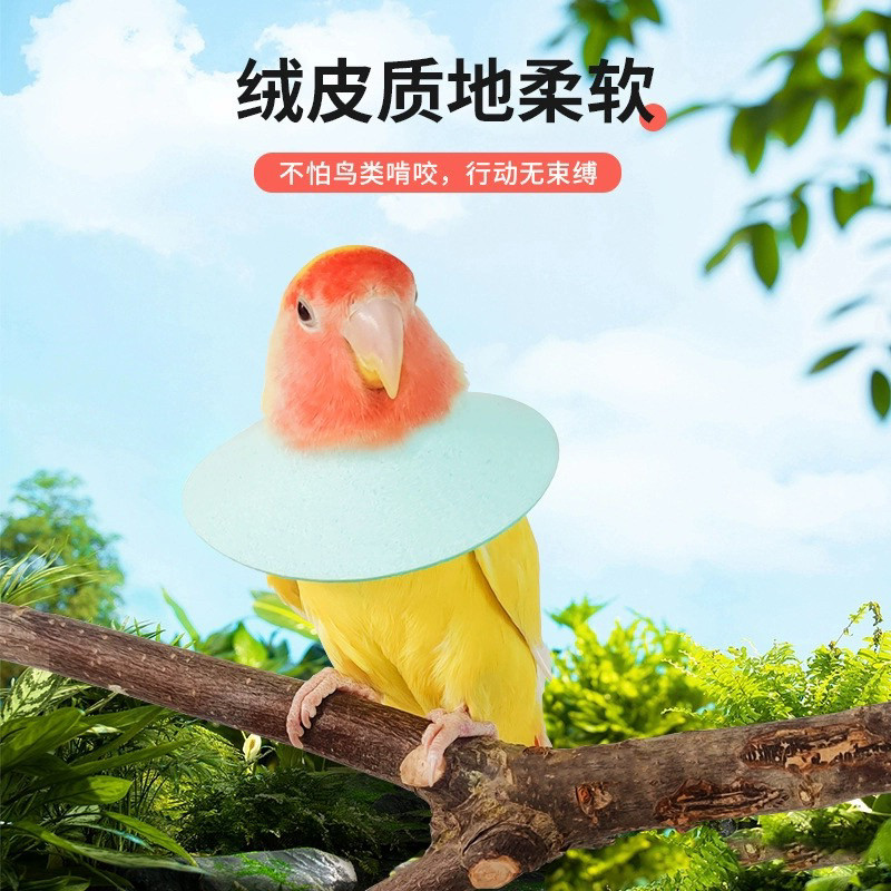 8玖-鹦鹉伊丽莎白圈防啄毛防咬受伤保护项圈鸟用具用品专用玩具,淘宝优惠券,粉丝福利购,淘宝优惠卷