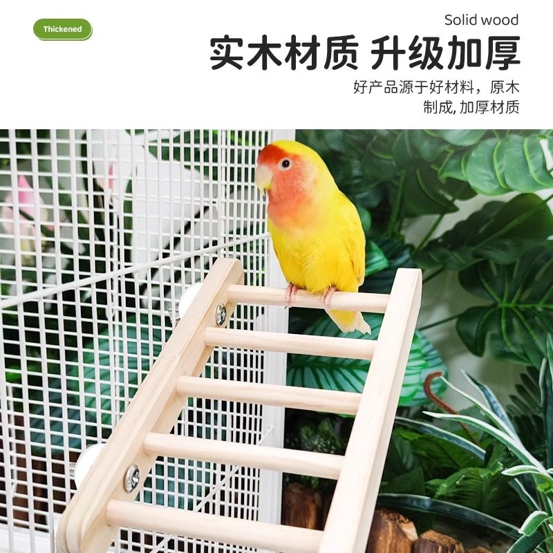 8玖-鹦鹉云梯站杆可调节多用折叠梯子玄凤牡丹虎皮宠物用品玩具,淘宝优惠券,粉丝福利购,淘宝优惠卷