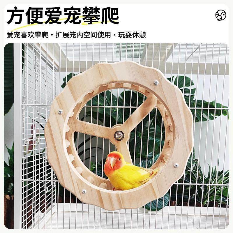 8玖-鹦鹉跑轮玩具自嗨解闷益智转轮玄凤牡丹虎皮宠物用品玩具造景,淘宝优惠券,粉丝福利购,淘宝优惠卷
