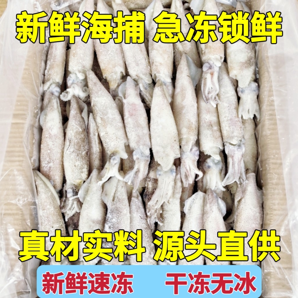 新鲜籽乌海兔笔管鱼小鱿鱼仔鲜活冷冻墨鱼八爪鱼乌贼无冰海鲜水产,淘宝优惠券,粉丝福利购,淘宝优惠卷
