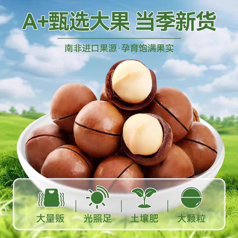 新货夏威夷果坚果夏果干果仁年货孕妇零食奶香原味袋装小零食批发,淘宝优惠券,粉丝福利购,淘宝优惠卷