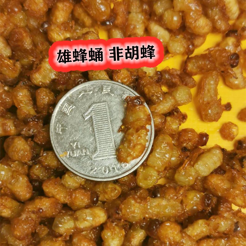 野生雄蜂蛹  烘干即食 蜂场自产雄蜂蛹蜜蜂幼虫 鱼饵 350只/每份