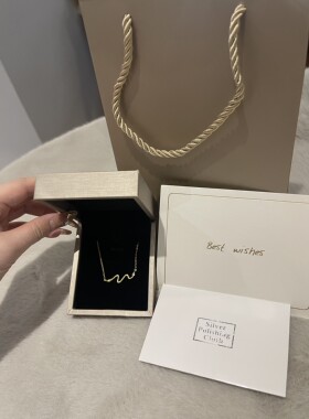 【招财灵蛇】S925银镀金项链带钻轻奢高端礼物送妈妈女友