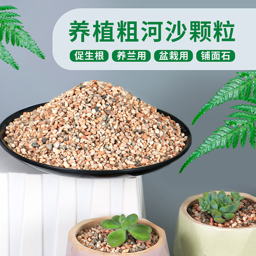 天然粗河沙粗砂多肉铺面石配土细沙子颗粒种植养花用鱼缸造景底砂 - 图0