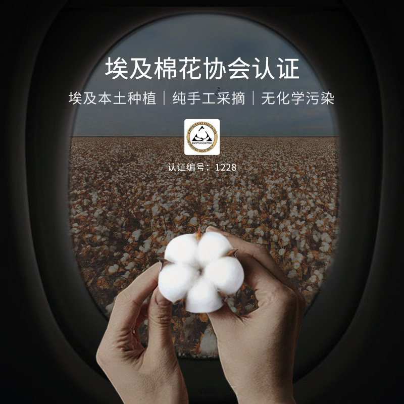 康尔馨头等舱埃及棉高档浴巾纯棉100全棉加厚高级家用吸水大人a类