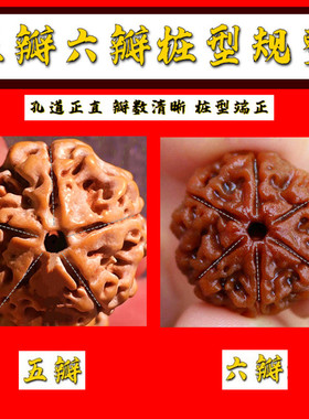 尼泊尔大金刚菩提子手串单圈