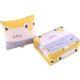 Cartoon pillow spring and summer sofa quilt nap pillow