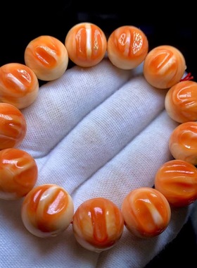 天然万宝螺手串血贝壳佛珠手链满牙齿血槽新款民族风饰品贝壳手链