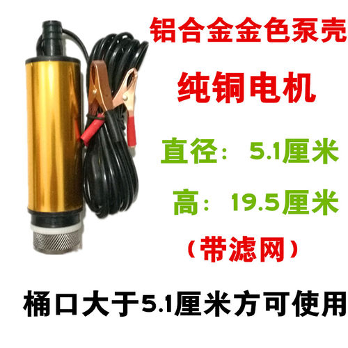 电动抽油泵 12V24伏220V小型水泵油抽子柴油抽油神器加油枪抽酒泵-图0