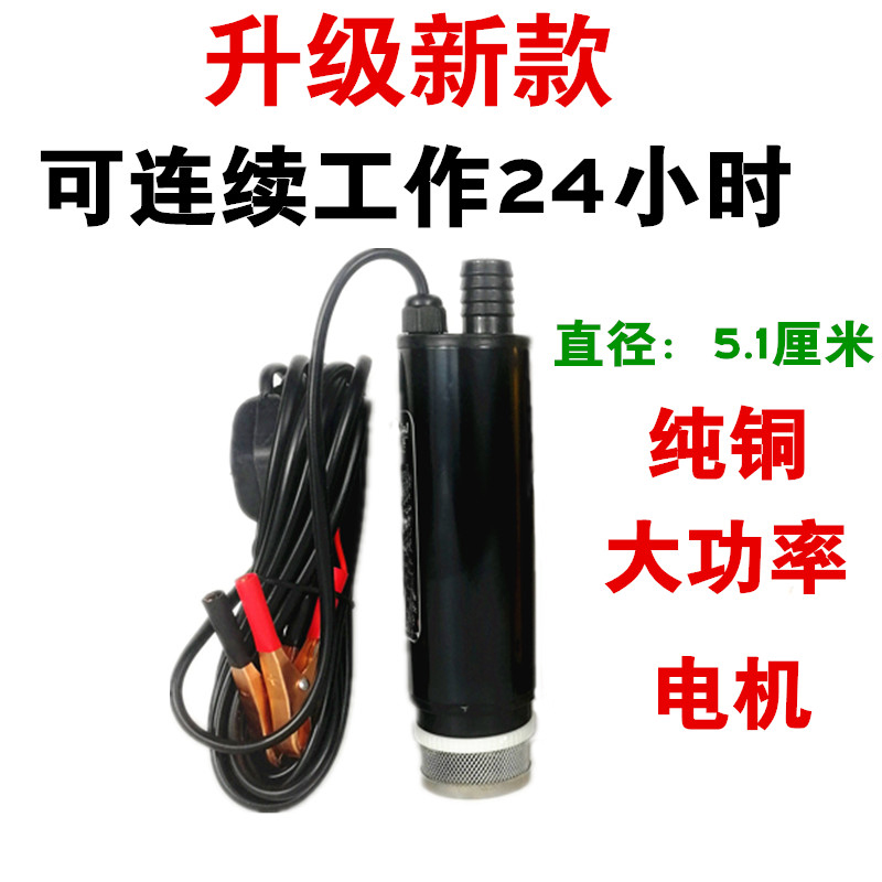 电动抽油泵 12V24伏220V小型水泵油抽子柴油抽油神器加油枪抽酒泵 - 图1