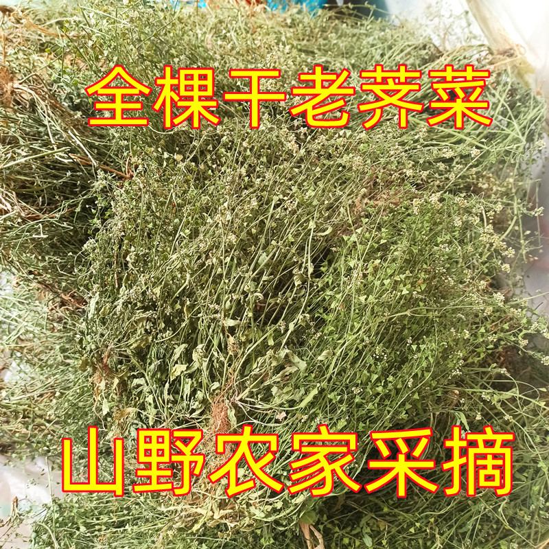 沂蒙山新鲜干老荠菜野货三月三煮鸡蛋月子孕妇香荠荠菜干野蔬菜 - 图0