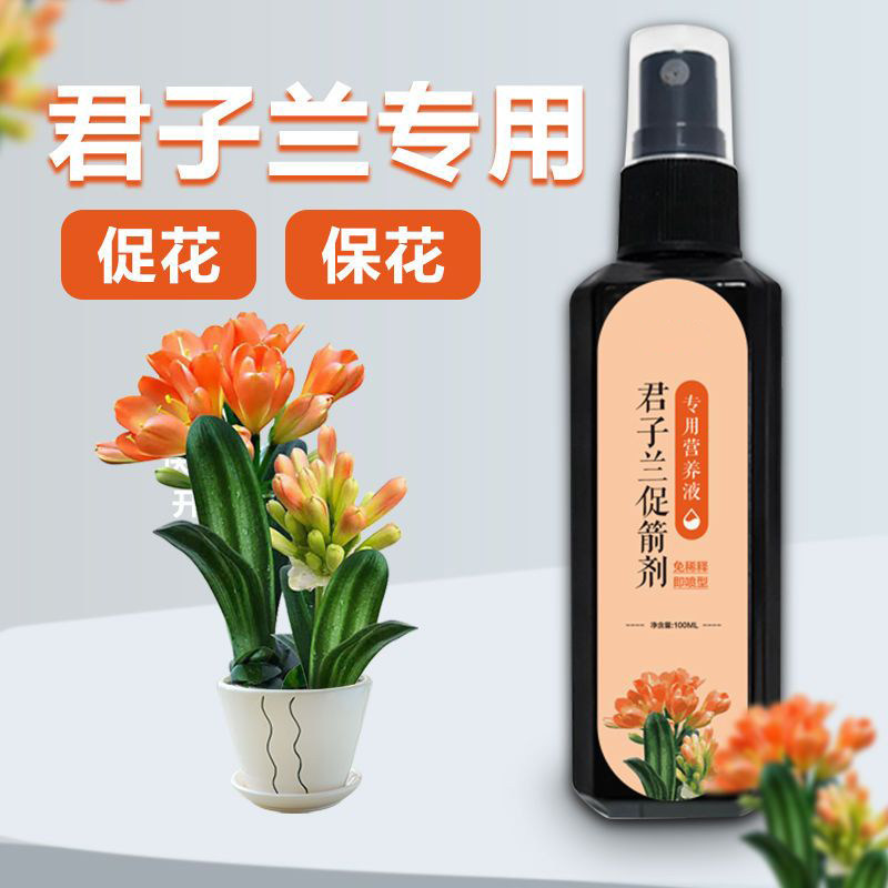 君子兰营养液专用肥兰花促箭防黄叶治烂根家用盆栽植物通用花肥料