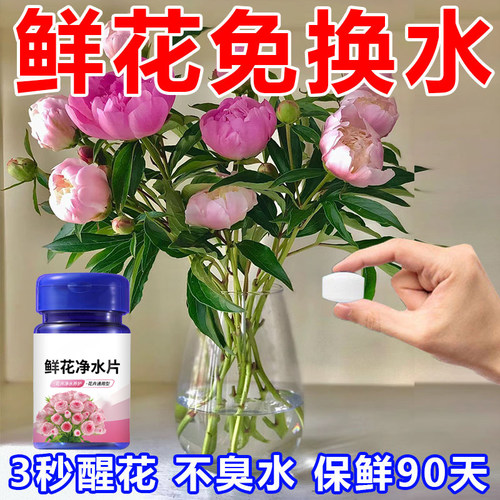 新升级鲜花绿植专用泡腾片二氧净水化氯保鲜除臭插花鲜切花卉醒花 - 图1