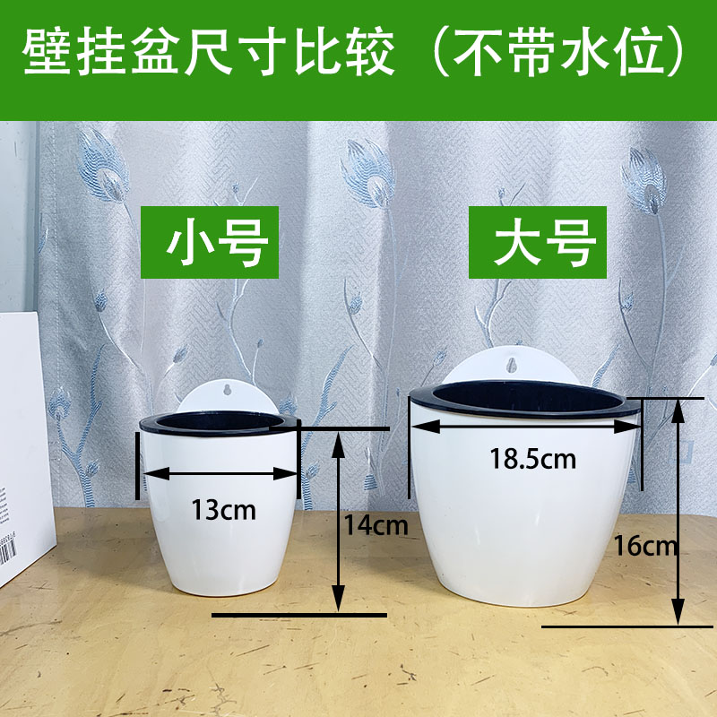 挂墙绿萝盆栽室内壁挂绿箩水培植物花卉好养客厅挂墙上花盆 - 图1