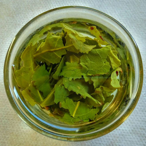 安溪铁观音茶角新茶特级浓香型特价乌龙茶叶1725散装500g袋装包邮 - 图2