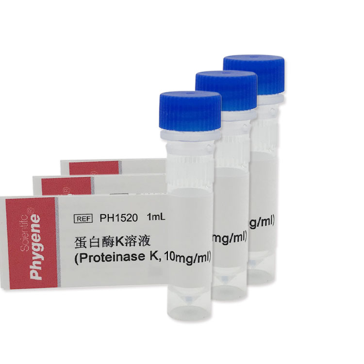 蛋白酶K溶液 Proteinase K 10mg/ml 1mL 科研专用 PH1520 PHYGENE - 图3