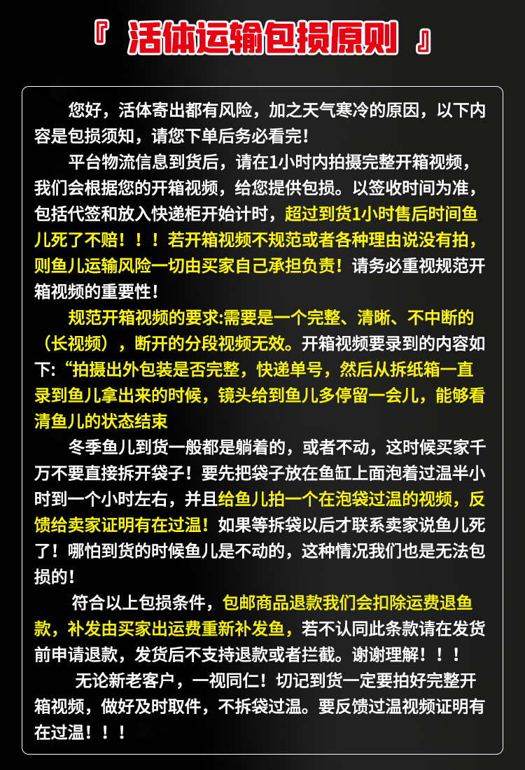 南美亚马孙红文鱼活热带鱼淡水凶猛宠物观赏鱼活苗肉食性猛鱼包活 - 图3