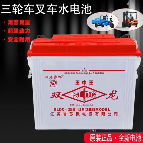双龙铅酸蓄电池12v电动载重三轮车工程车电叉车水电瓶228型318型 - 图0