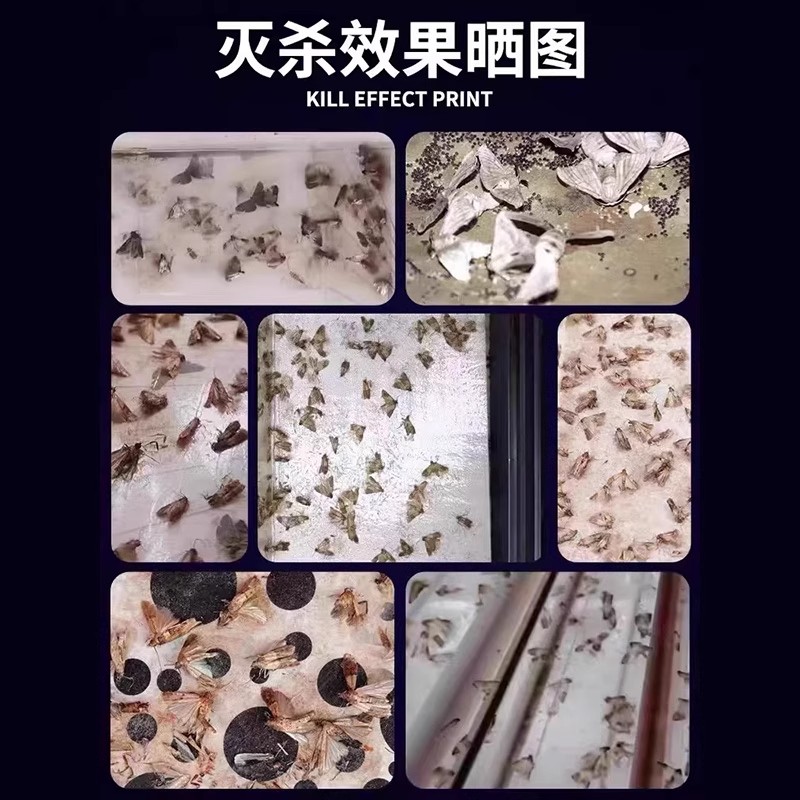 米面蛾杀虫剂家用室内无毒灭杀除飞蛾专用药驱防喷雾神器娥子克星 - 图0