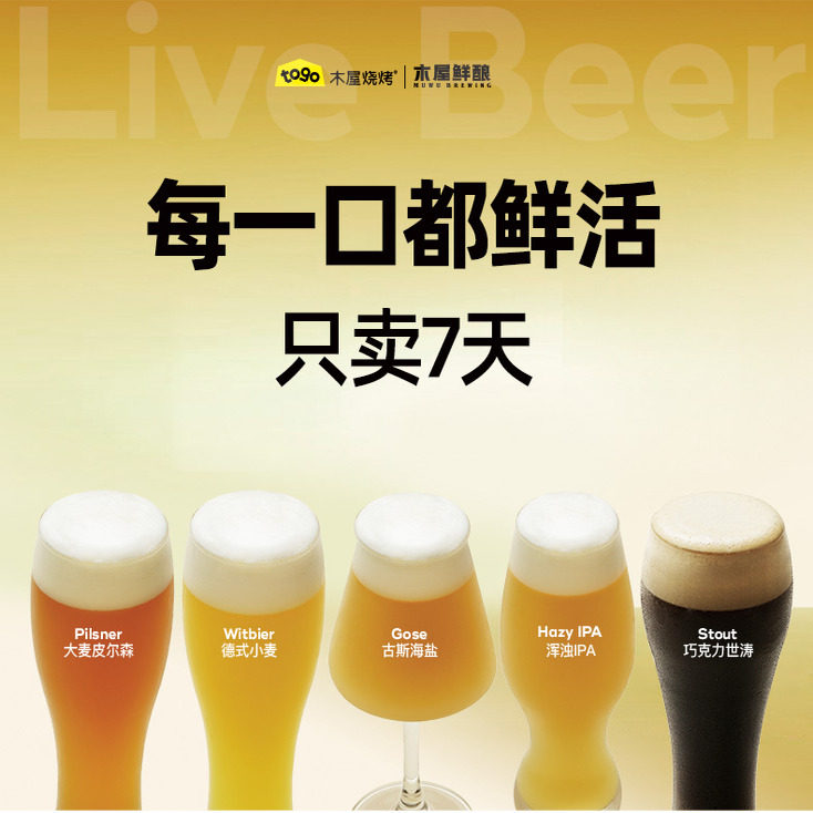 木屋烧烤鲜酿精酿品鉴装啤酒6罐 古斯海盐德式小麦低度微醺酒水