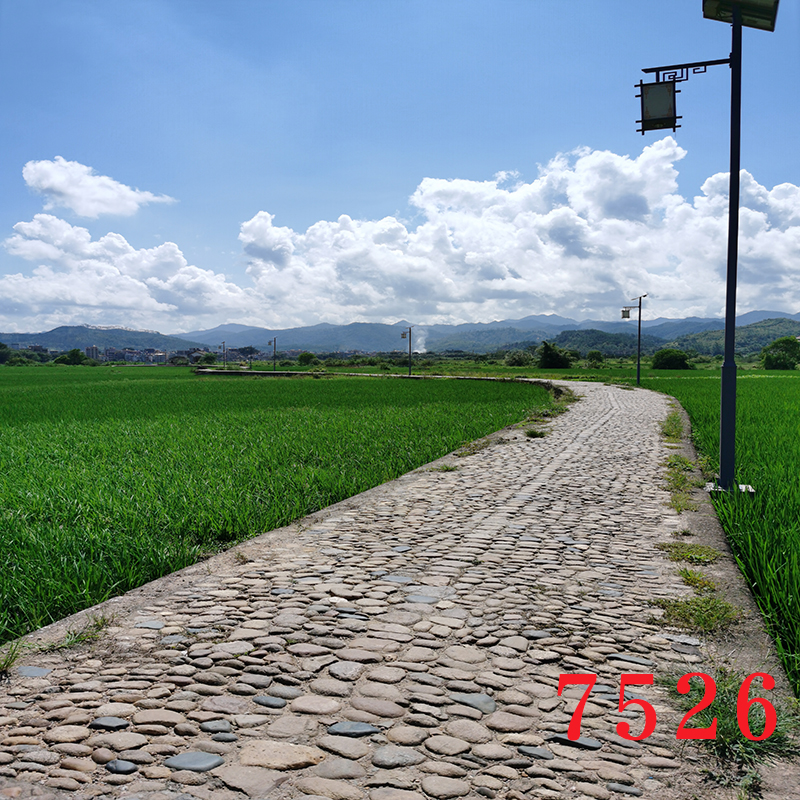 农村背景布直播间装饰道具乡村主播玉米地菜园子田园风外景背景布