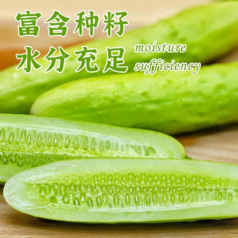 白玉黄瓜新鲜水果黄瓜自然熟甜脆爽口农家自种蜂果家的粉柿,淘宝优惠券,粉丝福利购,淘宝优惠卷