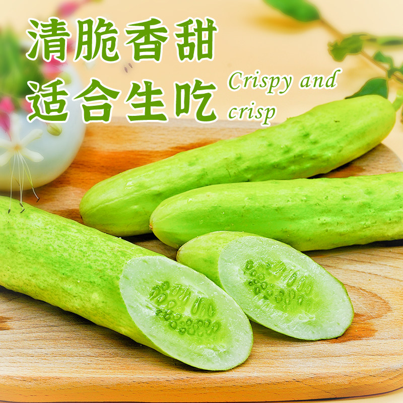 白玉黄瓜新鲜水果黄瓜自然熟甜脆爽口农家自种蜂果家的粉柿,淘宝优惠券,粉丝福利购,淘宝优惠卷