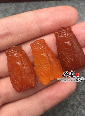 知了天然冰种白玉髓一鸣惊人吊坠