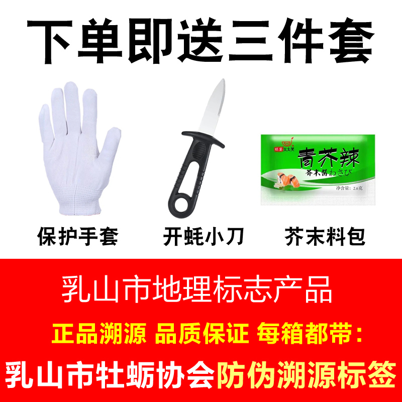 包活鲜活乳山生蚝新鲜牡蛎特大超大肉海蛎子5斤刺身即食贝类海鲜 - 图0