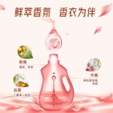 Оценка папы на либаи для стирки жидко