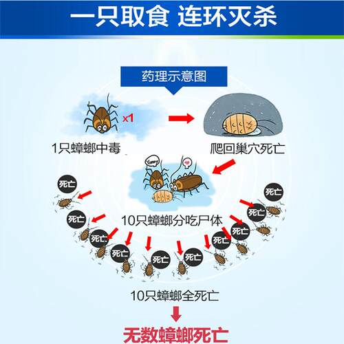 老爸评测除蟑螂药安全家用大小通杀德国拜耳拜士杀蟑螂专用胶饵 - 图1