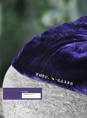 纯色金丝绒服装布面料