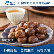 Box Horse MAX Hebei moved West Organic Gan Chestnut Kernel 500g Ready-to-eat to shell Chestnut Kernel Nuts Fried Goods Casual Snacks