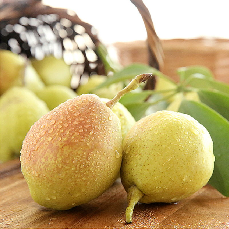 正宗新疆库尔勒香梨皮薄多汁化渣脆甜自然熟黄果发货红香酥梨实惠 - 图2