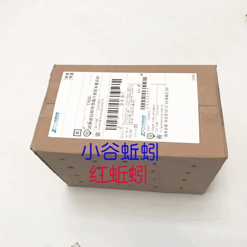 蚯蚓活体盒装红蚯蚓种苗钓鱼垂钓龟鱼饵鲫鱼野钓小药饵料散装包活,淘宝优惠券,粉丝福利购,淘宝优惠卷