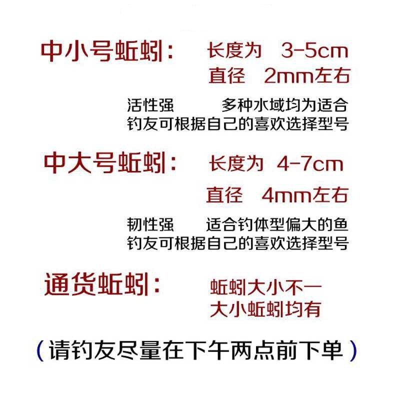 蚯蚓活体盒装红蚯蚓种苗钓鱼垂钓龟鱼饵鲫鱼野钓小药饵料散装包活,淘宝优惠券,粉丝福利购,淘宝优惠卷