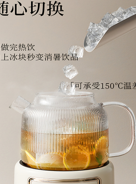 ODI-HC01/HC07全玻璃原厂单壶