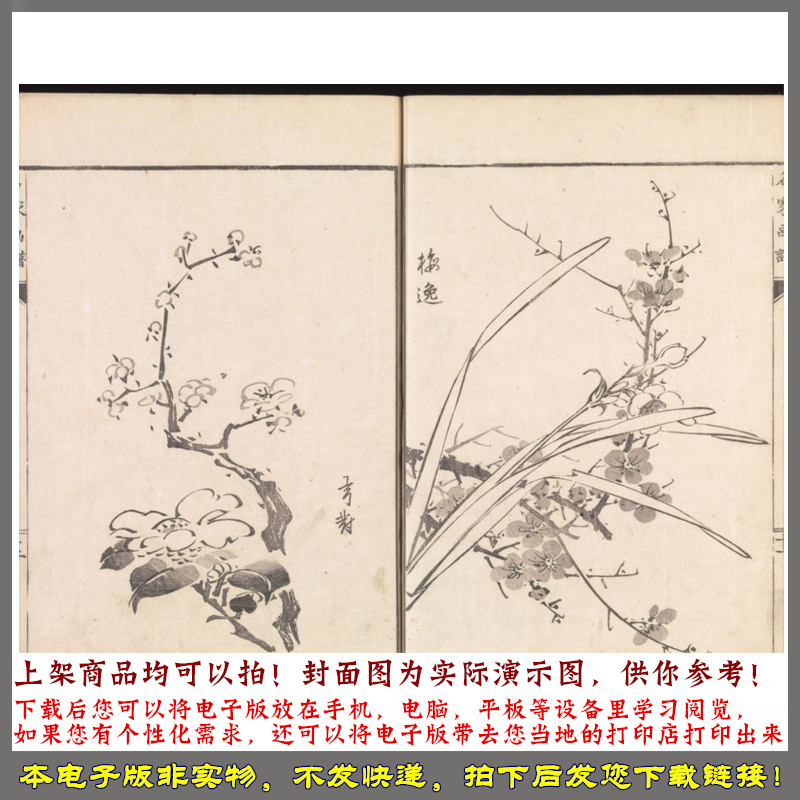 名家画谱.2辑.丹羽桃溪辑.山回良由撰.1814年东壁堂刊 - 图3