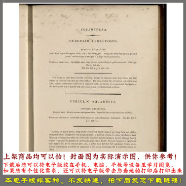 中国昆虫自然史 by.Donovan.Edward.1798年 - 图2