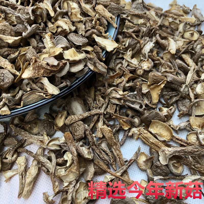 鹿茸菇干货鹿茸菌500g包邮鹿茸菇碎片脆脆菇菌古田无硫煲汤土特产 - 图0