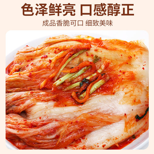 正宗樱鹤韩式泡菜酱1800ml家用韩国风味朝鲜族辣白菜泡菜腌料拌料 - 图1