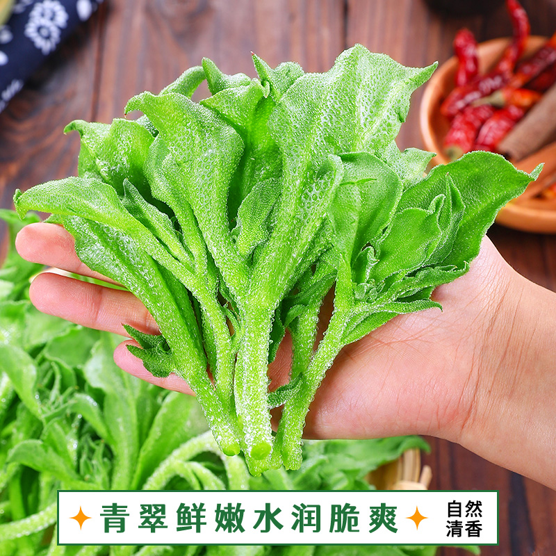 新鲜冰草5斤冰菜蔬菜水晶冰花叶火锅即食生吃沙拉食材菜凉拌3包邮