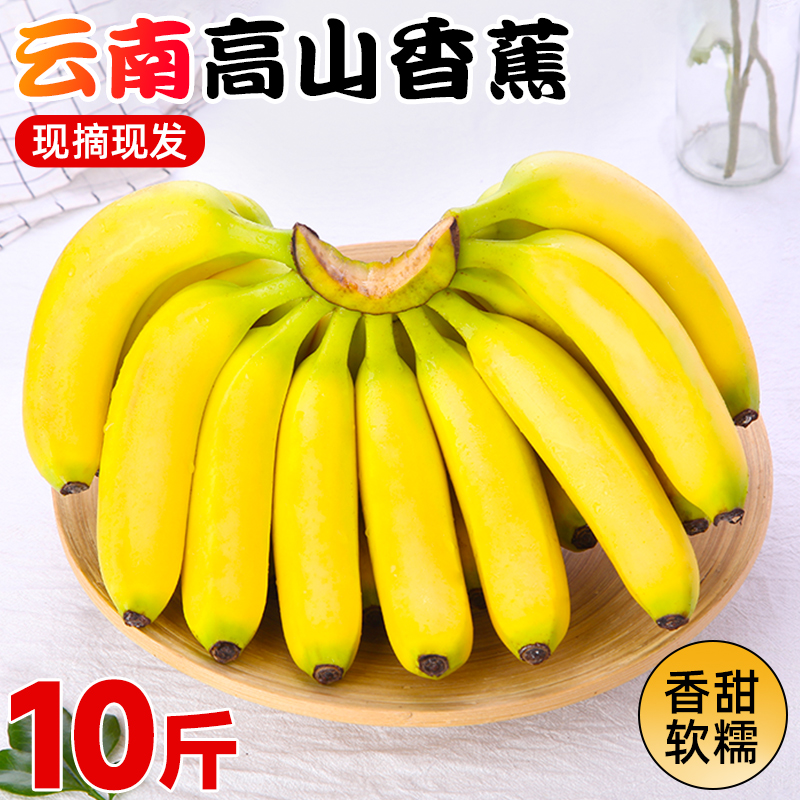 高山甜香蕉新鲜水果10斤当季现摘芭蕉小米蕉大香焦绿批发整箱包邮 - 图1