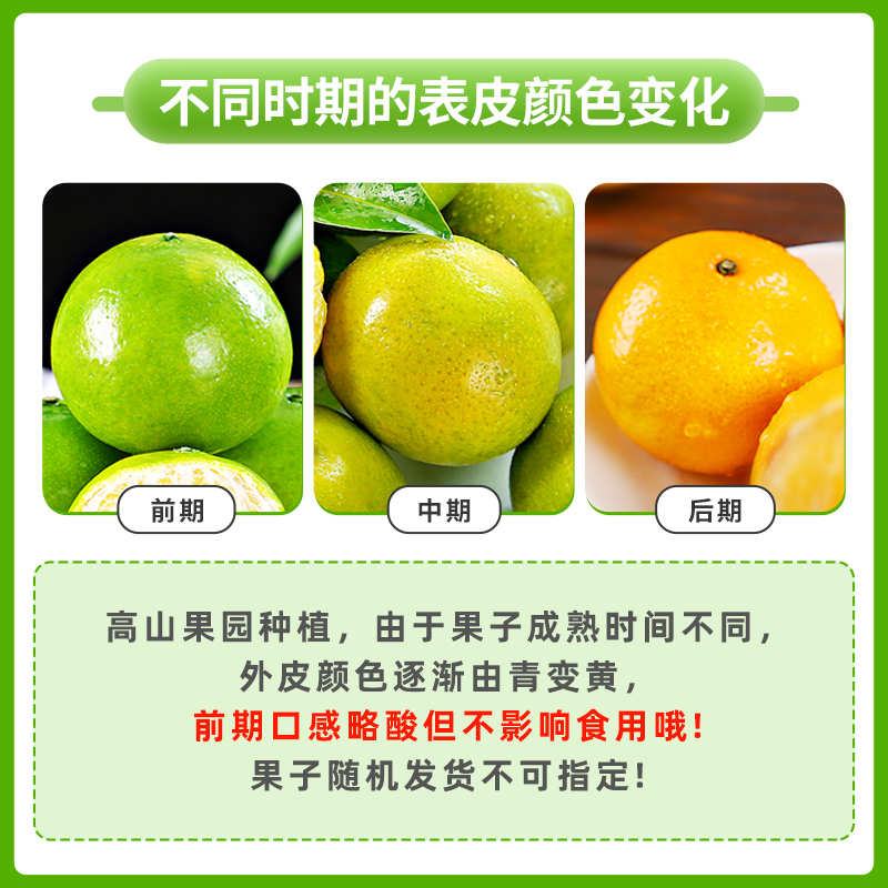 正宗广西皇帝柑大果10斤新鲜水果蜜桔香甜橘子贡柑砂糖桔子沃5柑