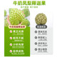 SF Express Pineapple Custard Apple Ice Cream Taste